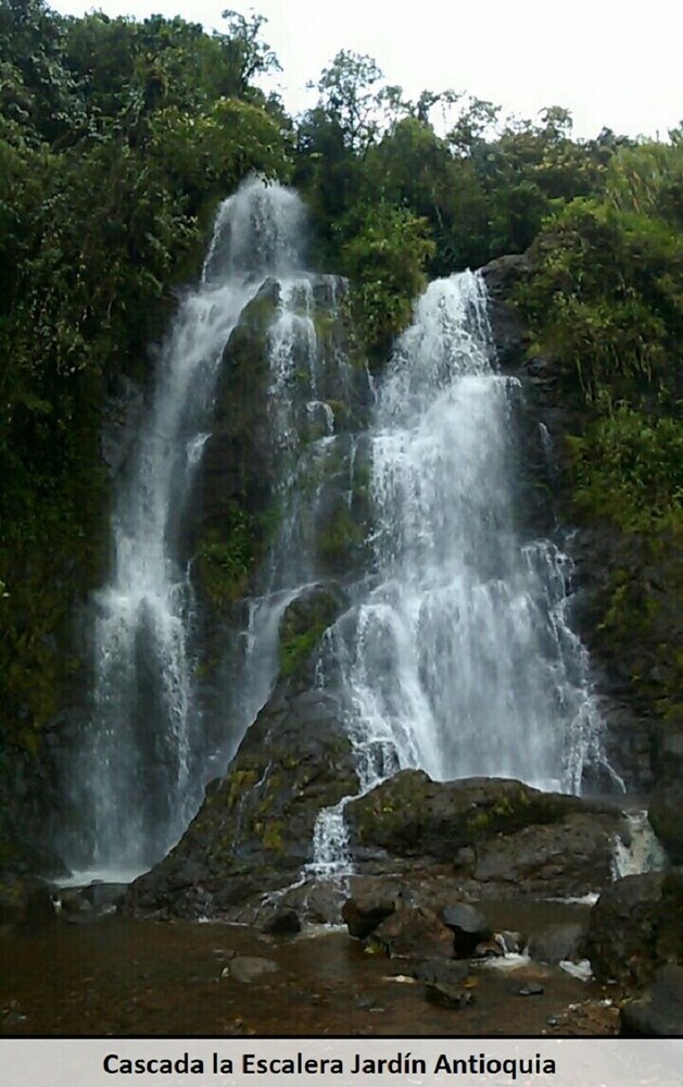 paraiso travel in jardin hotel rates