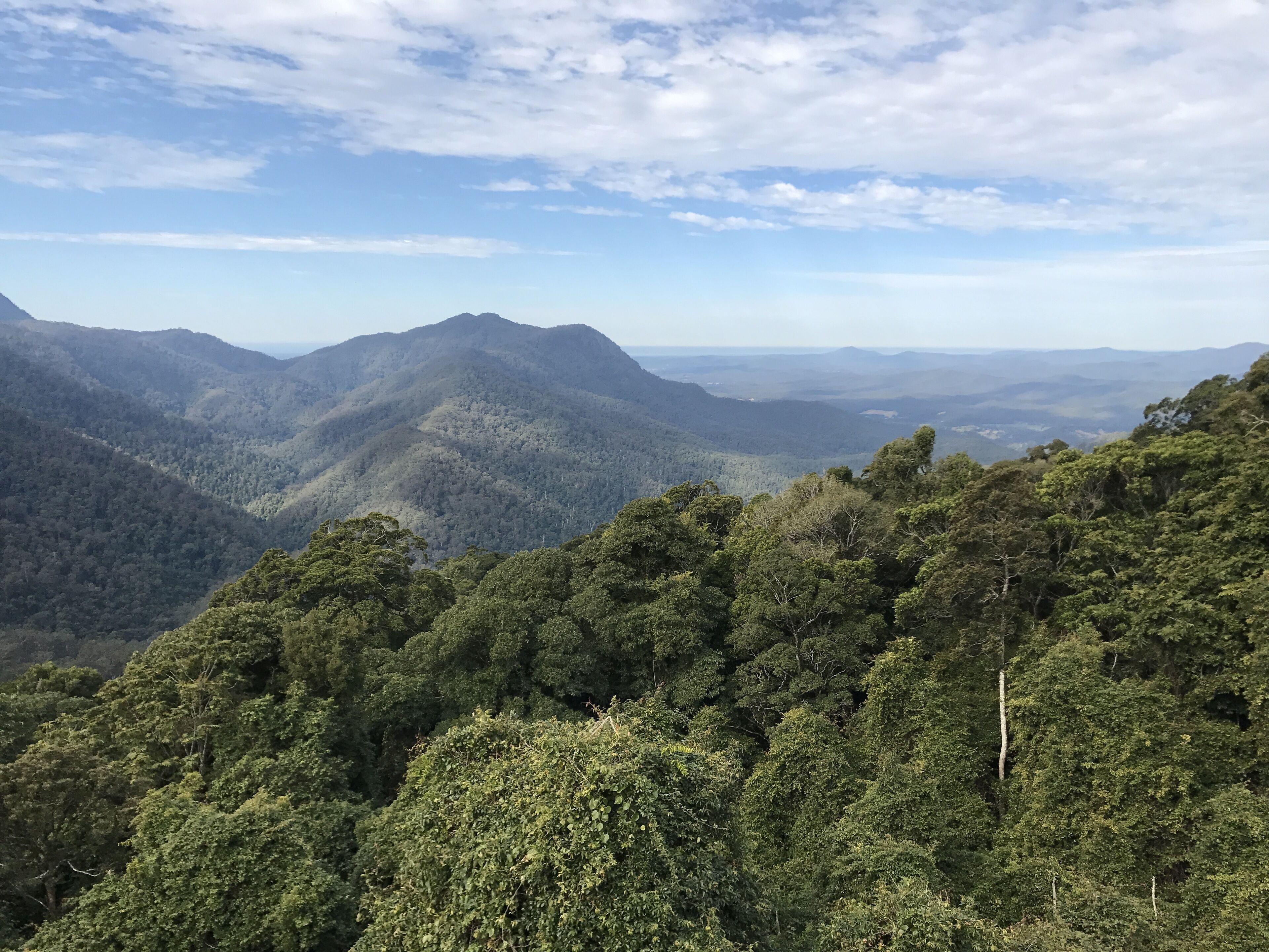 The Tiny Hideaway's Homestead Minutes Drive From Bellingen Town