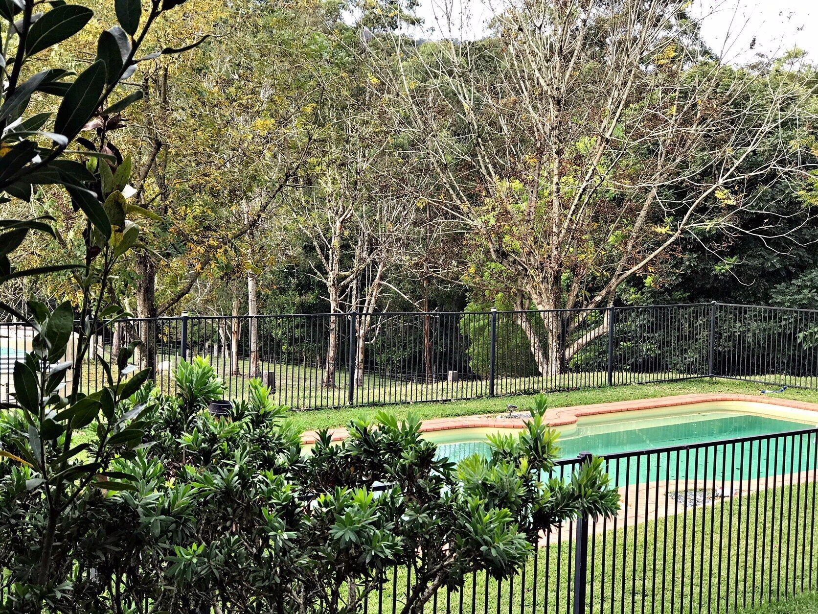 The Tiny Hideaway's Homestead Minutes Drive From Bellingen Town