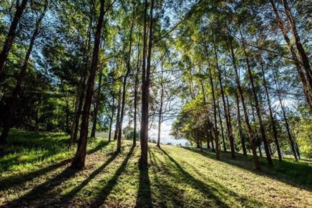 The Tiny Hideaway's Homestead Minutes Drive From Bellingen Town