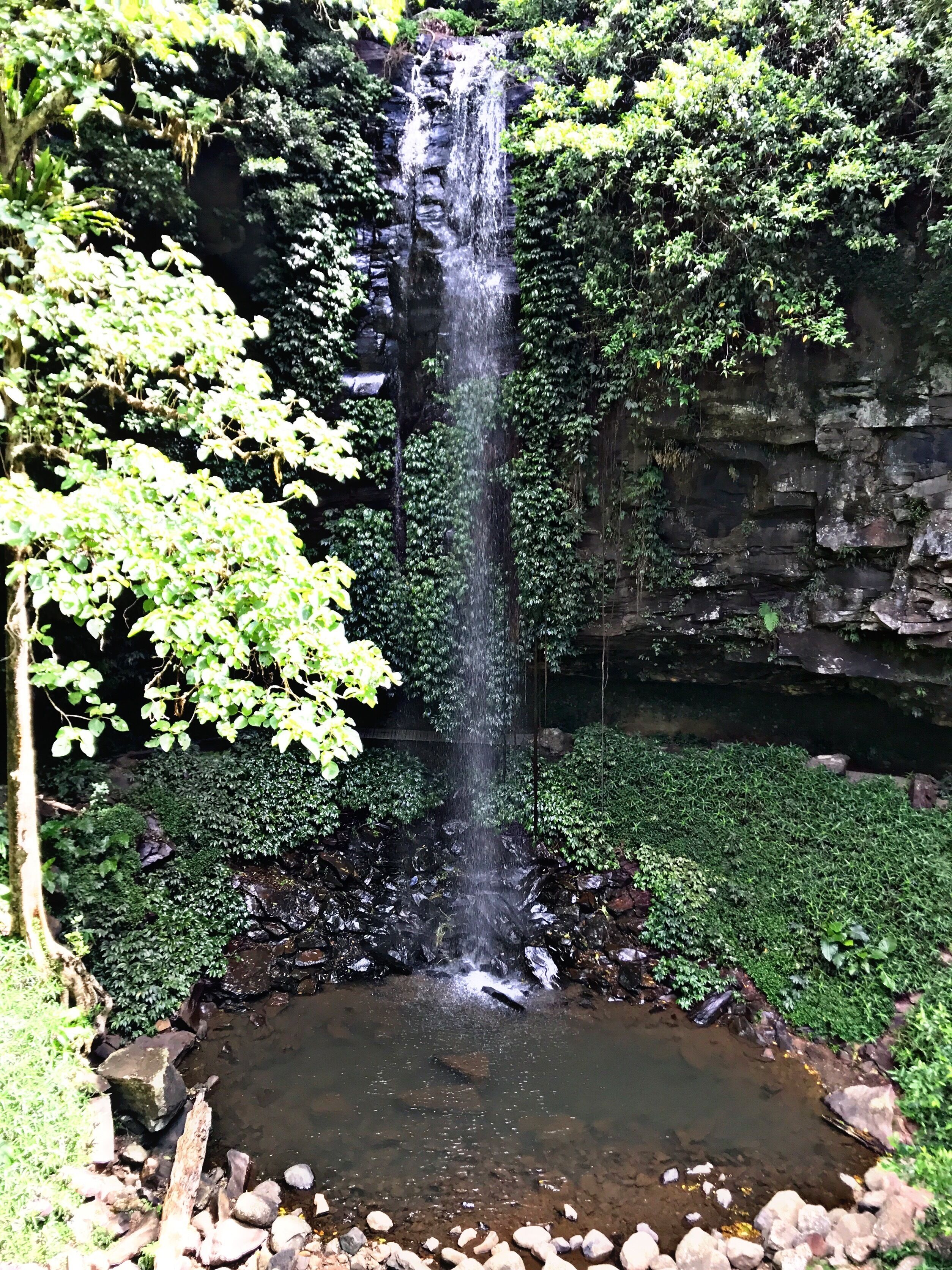 The Tiny Hideaway's Homestead Minutes Drive From Bellingen Town