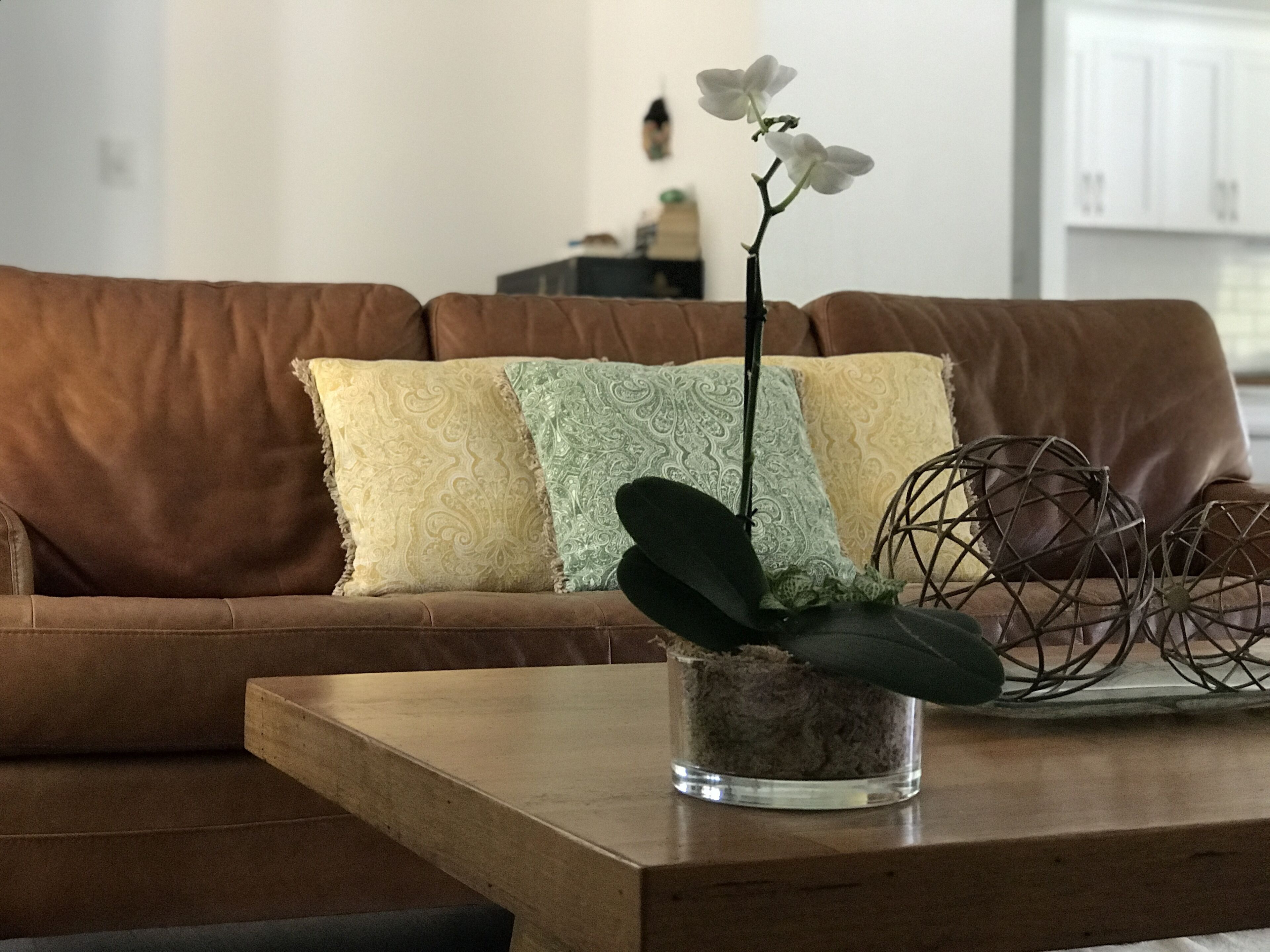 The Tiny Hideaway's Homestead Minutes Drive From Bellingen Town