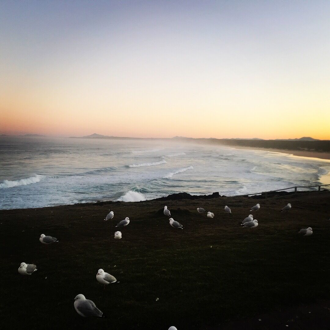 The Tiny Hideaway's Homestead Minutes Drive From Bellingen Town