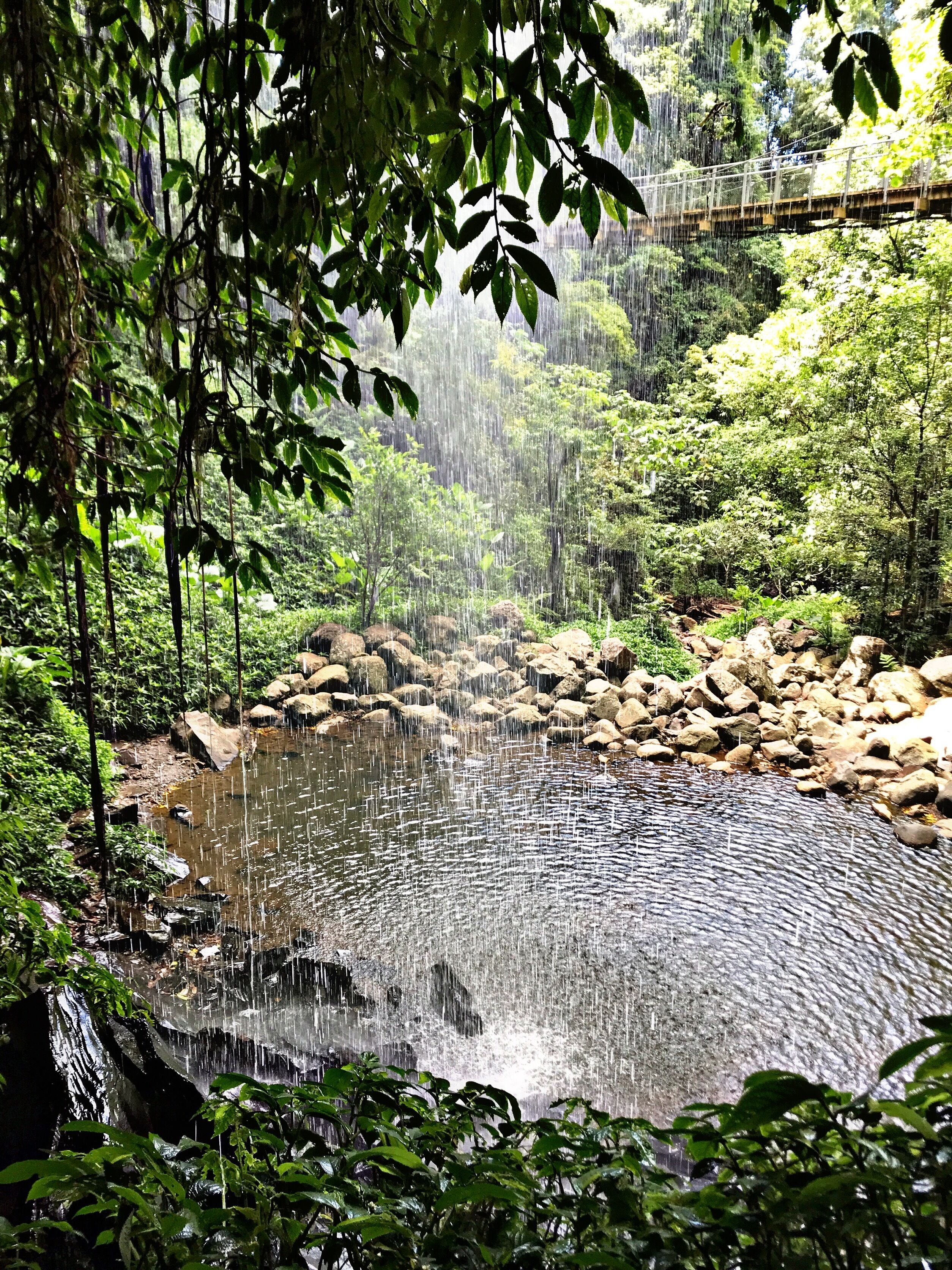 The Tiny Hideaway's Homestead Minutes Drive From Bellingen Town
