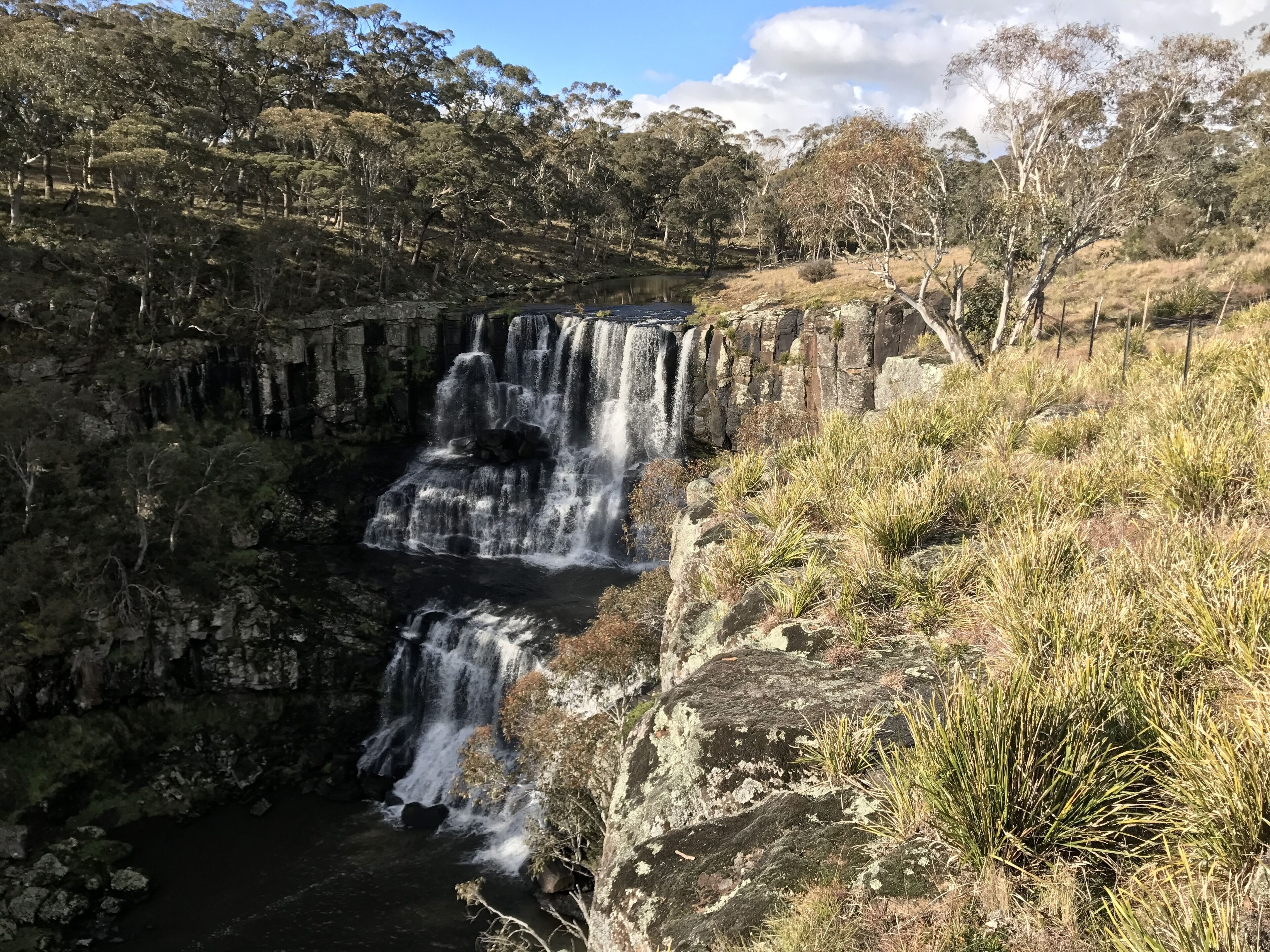 The Tiny Hideaway's Homestead Minutes Drive From Bellingen Town