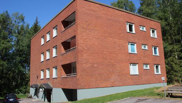 Ulkopuoli