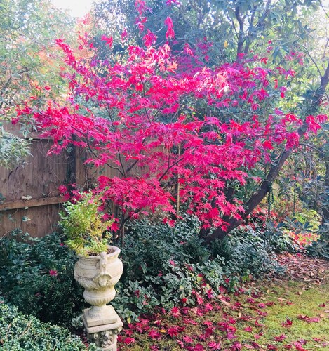 Leura Cottages 10 Best Holiday Cottages In 2020 Wotif