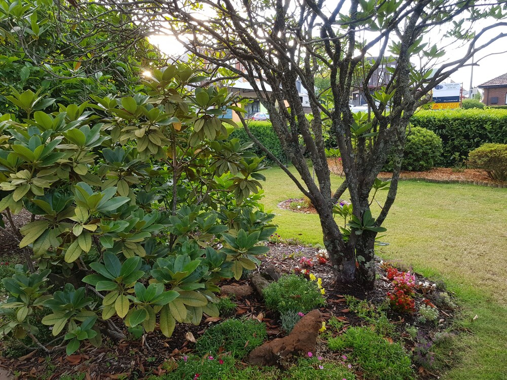 Glenella Guesthouse