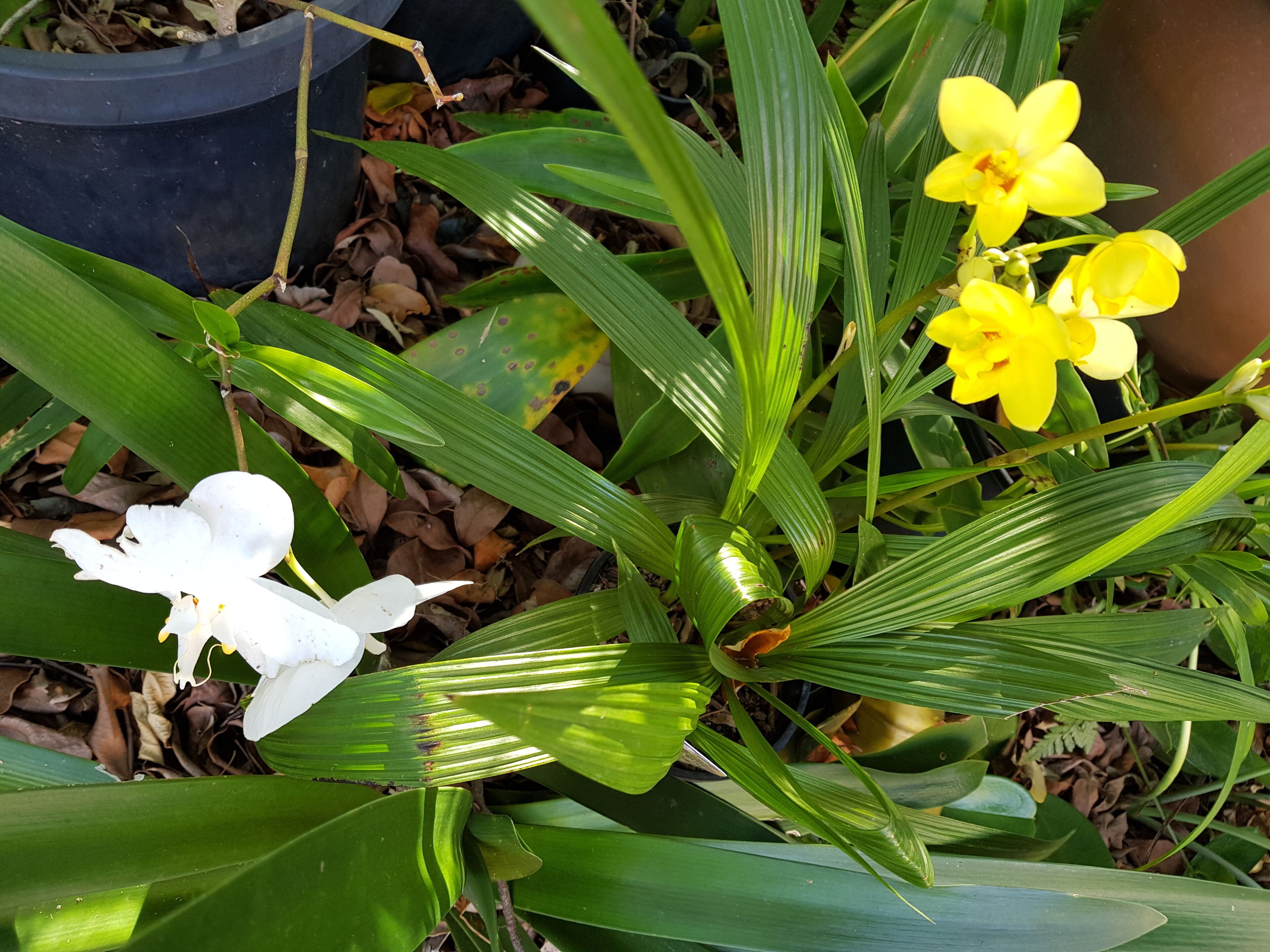 Private Self Contained air Conditioned bed Sitter - Bed and Breakfast