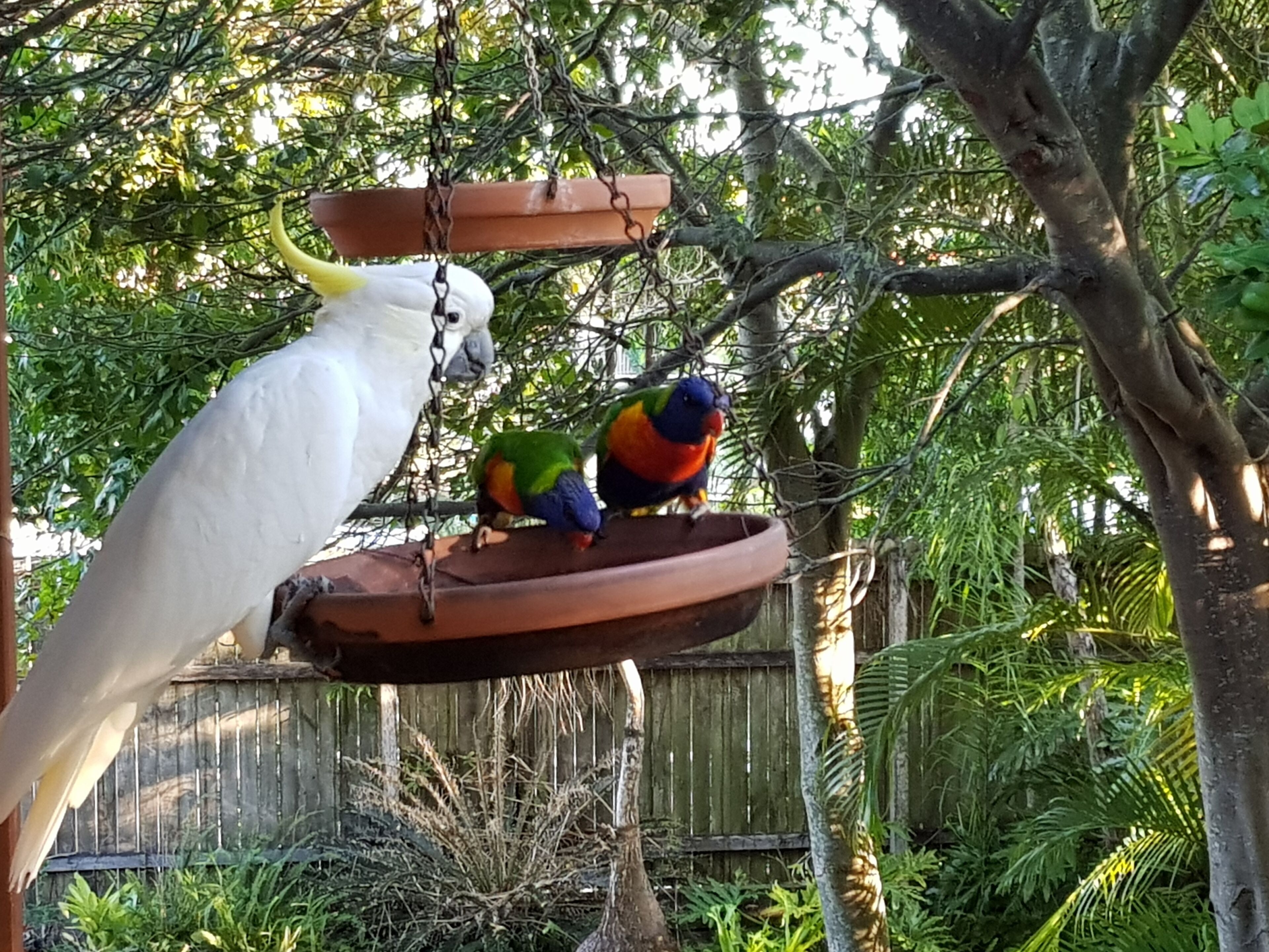 Private Self Contained air Conditioned bed Sitter - Bed and Breakfast