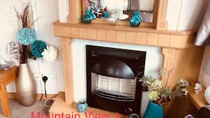 Flat-screen TV, fireplace, DVD player