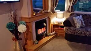 Flat-screen TV, fireplace, DVD player
