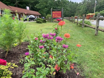 Pine Crest Motel And Cabins Reviews Photos Rates Ebookers Com