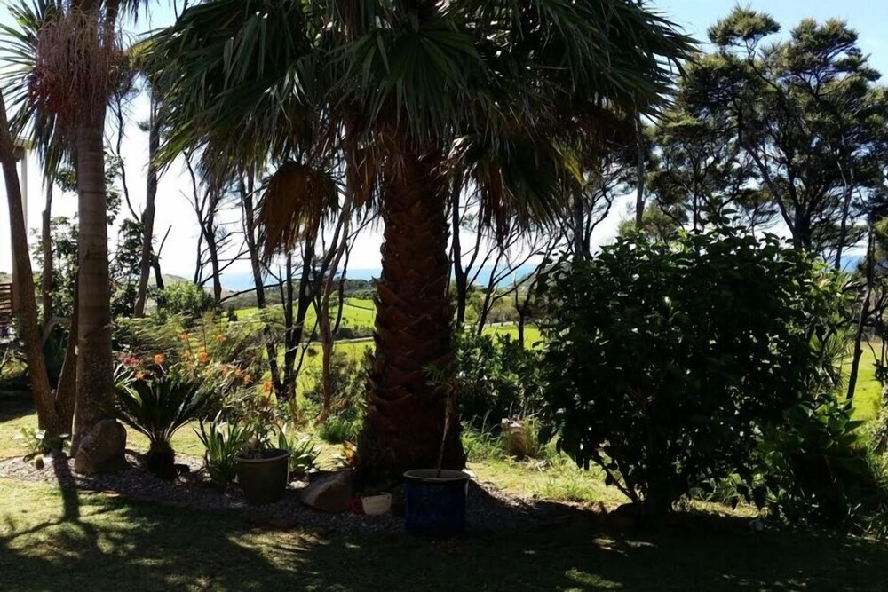 Twin Palms Ocean Beach, French Country Lounge Deals & Reviews