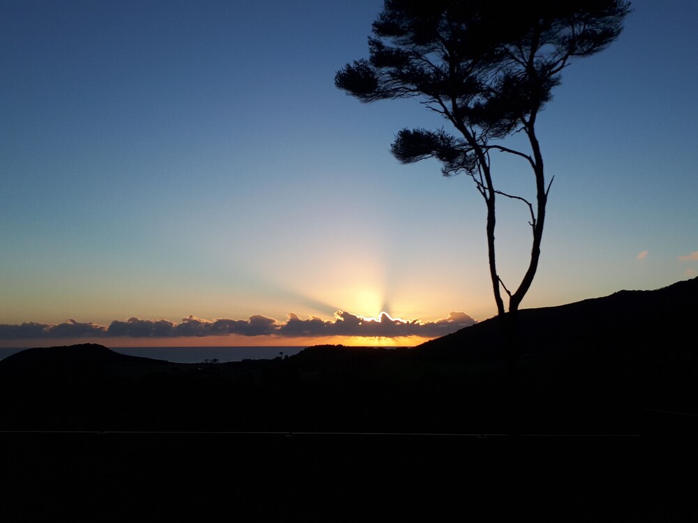 Twin Palms Ocean Beach, French Country Lounge Deals & Reviews