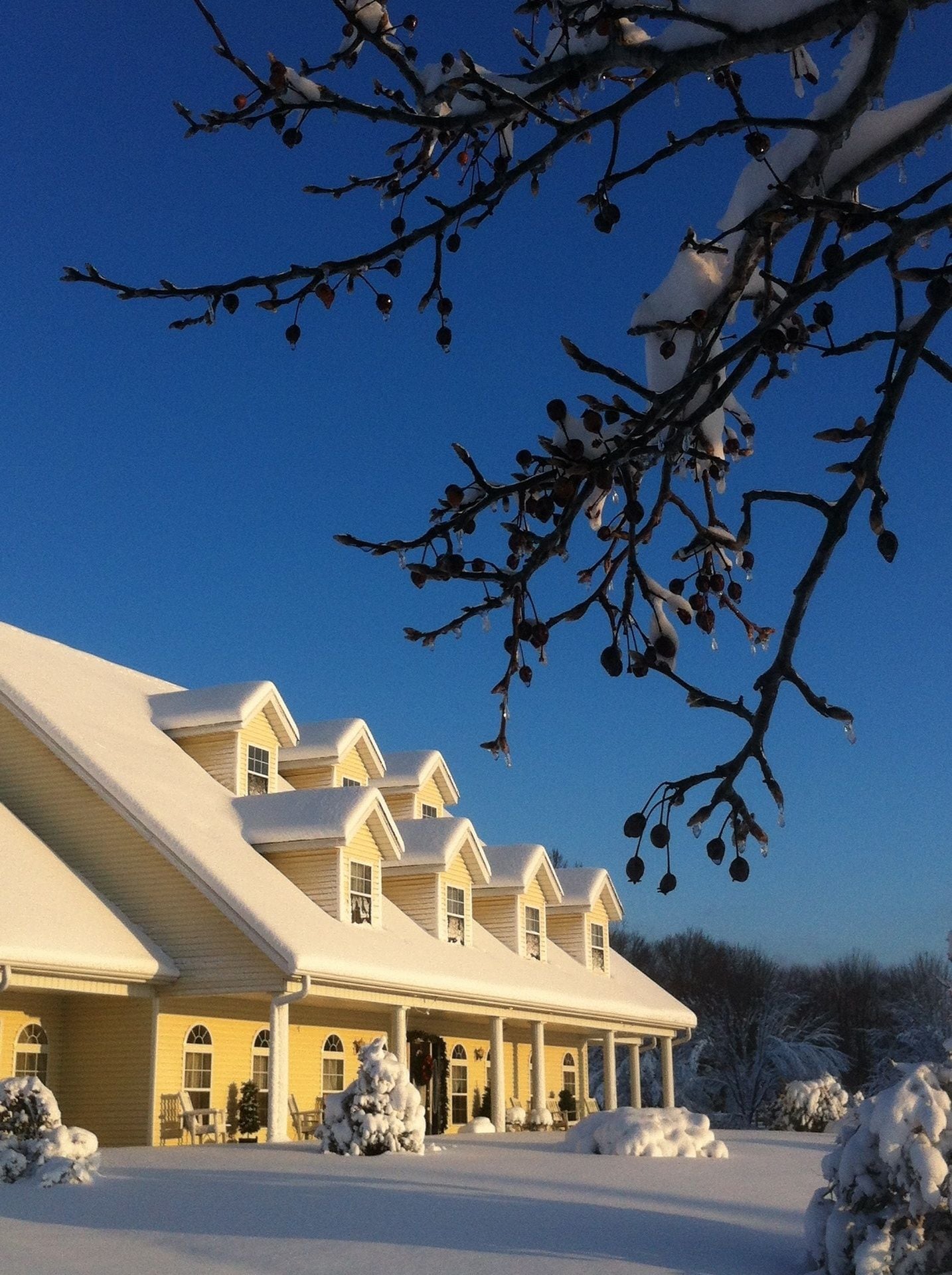 The Abbé House Inn in Heber Springs, United States