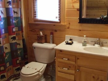 Blue Skies Apartment 3 Nevaeh Cabin Rentals Reviews Photos