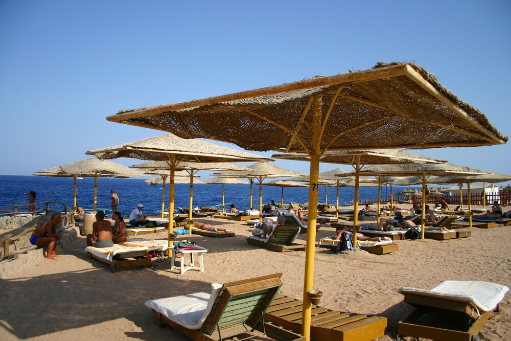 Отель falcon naama star египет шарм эль шейх отзывы Отель falcon naama star египет шарм эль шейх отзывы