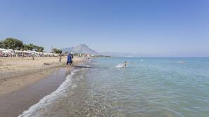Sulla spiaggia, lettini da mare, ombrelloni, pallavolo