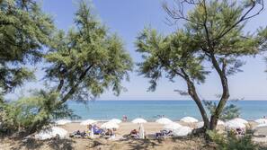 Sulla spiaggia, lettini da mare, ombrelloni, pallavolo
