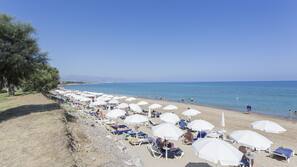 Sulla spiaggia, lettini da mare, ombrelloni, pallavolo