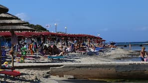 On the beach, white sand, scuba diving, beach volleyball