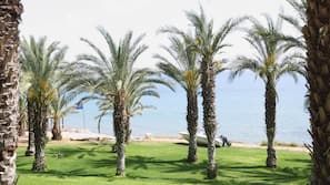 On the beach, sun-loungers, beach umbrellas, beach towels