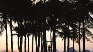 Beach nearby, free beach shuttle, free beach cabanas, sun-loungers
