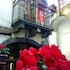 Hotel Federico II