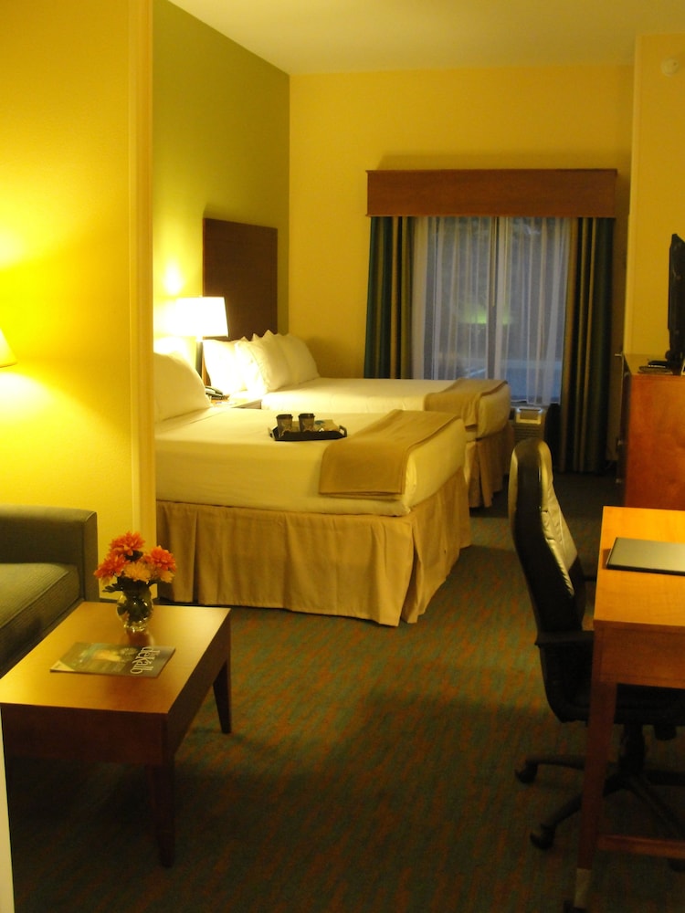 Holiday Inn Express Hotel & Suites Atlanta East - Lithonia, an IHG Hotel