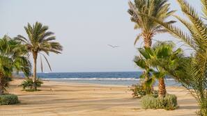 Private beach, sun-loungers, beach umbrellas, beach towels