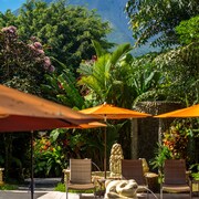 Nayara Resort Spa & Gardens: 2017 Room Prices, Deals & Reviews | Expedia