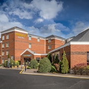 blessington pet hospital