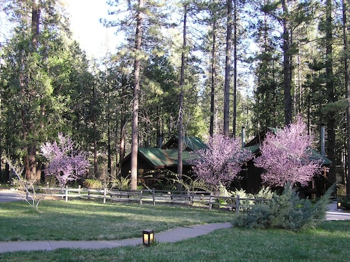 Best Cabins In Idyllwild For 2020 Find Cheap 88 Cabins Rentals