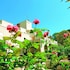 Résidence Maeva Les Terrasses Du Parc in La Grande Motte, France