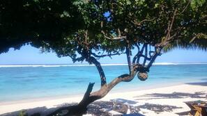 On the beach, snorkelling, beach bar, kayaking