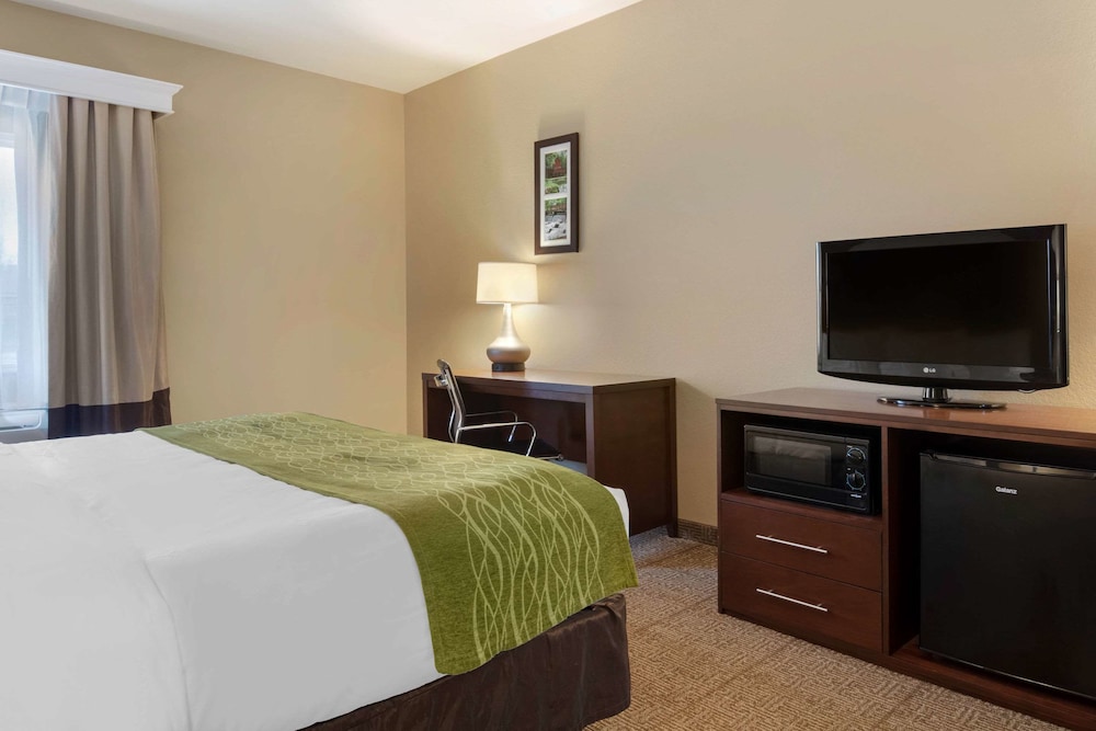 Comfort Inn Willow Springs