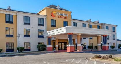 Comfort Suites Airport South