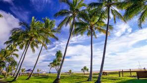 On the beach, white sand, sailing, kayaking