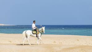 Private beach, sun loungers, beach umbrellas, beach towels