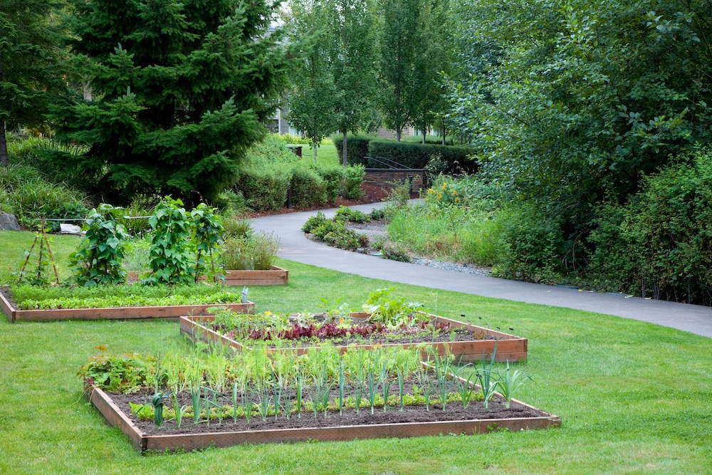 Garden, Cedarbrook Lodge