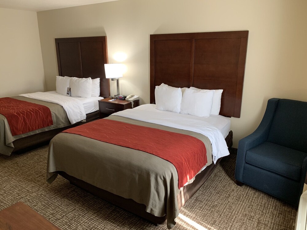 Comfort Inn Suites Yuma I 8 In Yuma Cheap Hotel Deals Rates