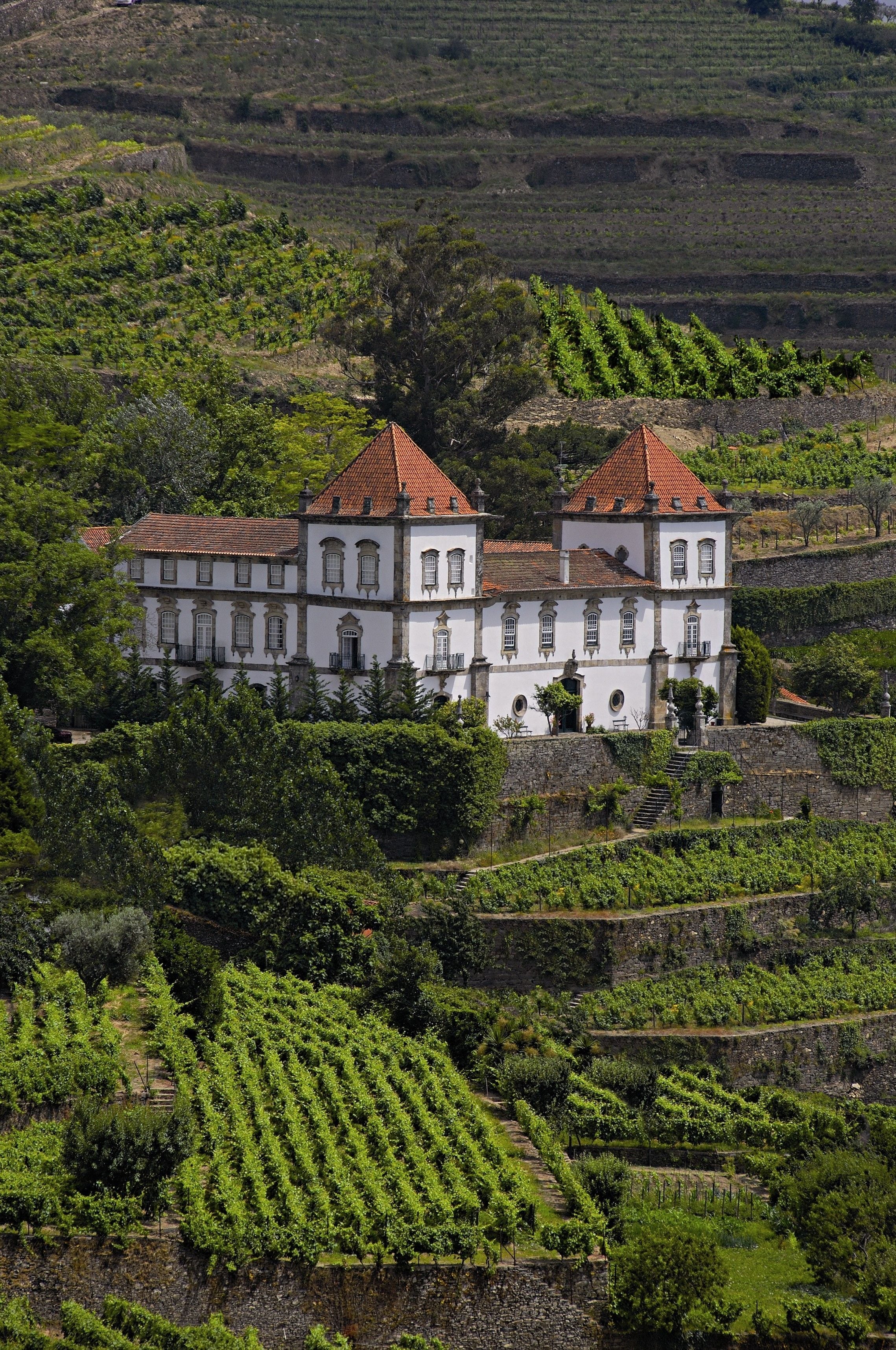 Casa das Torres de Oliveira in Mesão Frio, Portugal