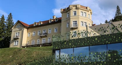 Rimske terme - Hotel Sofijin Dvor