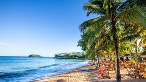 On the beach, sun loungers, beach umbrellas, beach towels