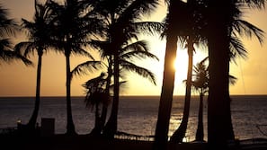 On the beach, sun loungers, beach umbrellas, beach towels
