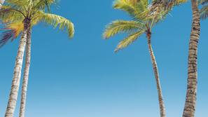 Private beach, white sand, sun loungers, beach towels