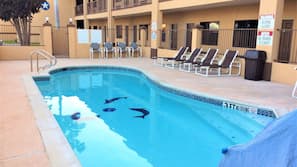 mcallen Gay cruise tx site Antich recommends Gay funboy