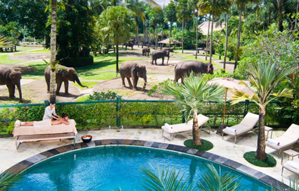 Elephant Safari Park Lodge Hotel Bali Elephant Safari Park Lodge Hotel Bali