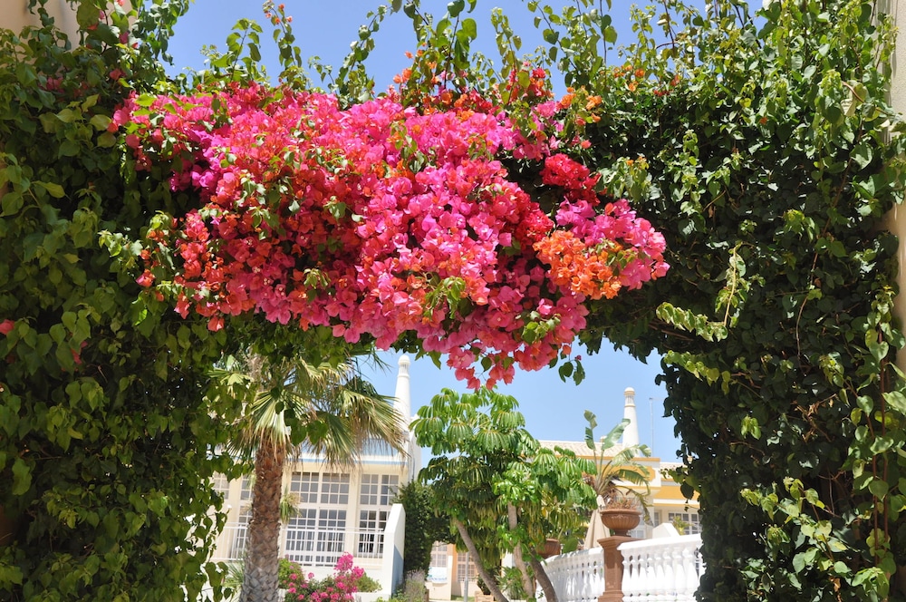 Foto - Ponta Grande Sao Rafael Resort by Umbral